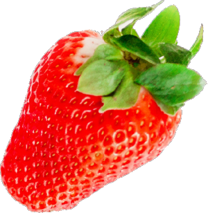 イチゴ狩り 西島園芸団地